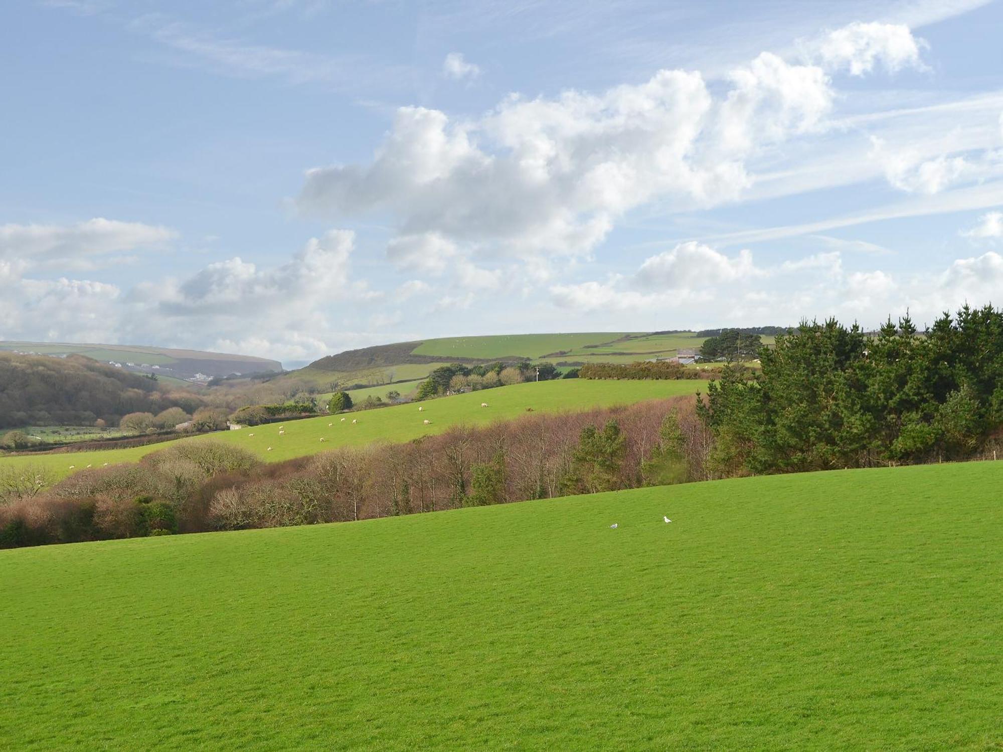 Merlin View St Mawgan Exterior foto